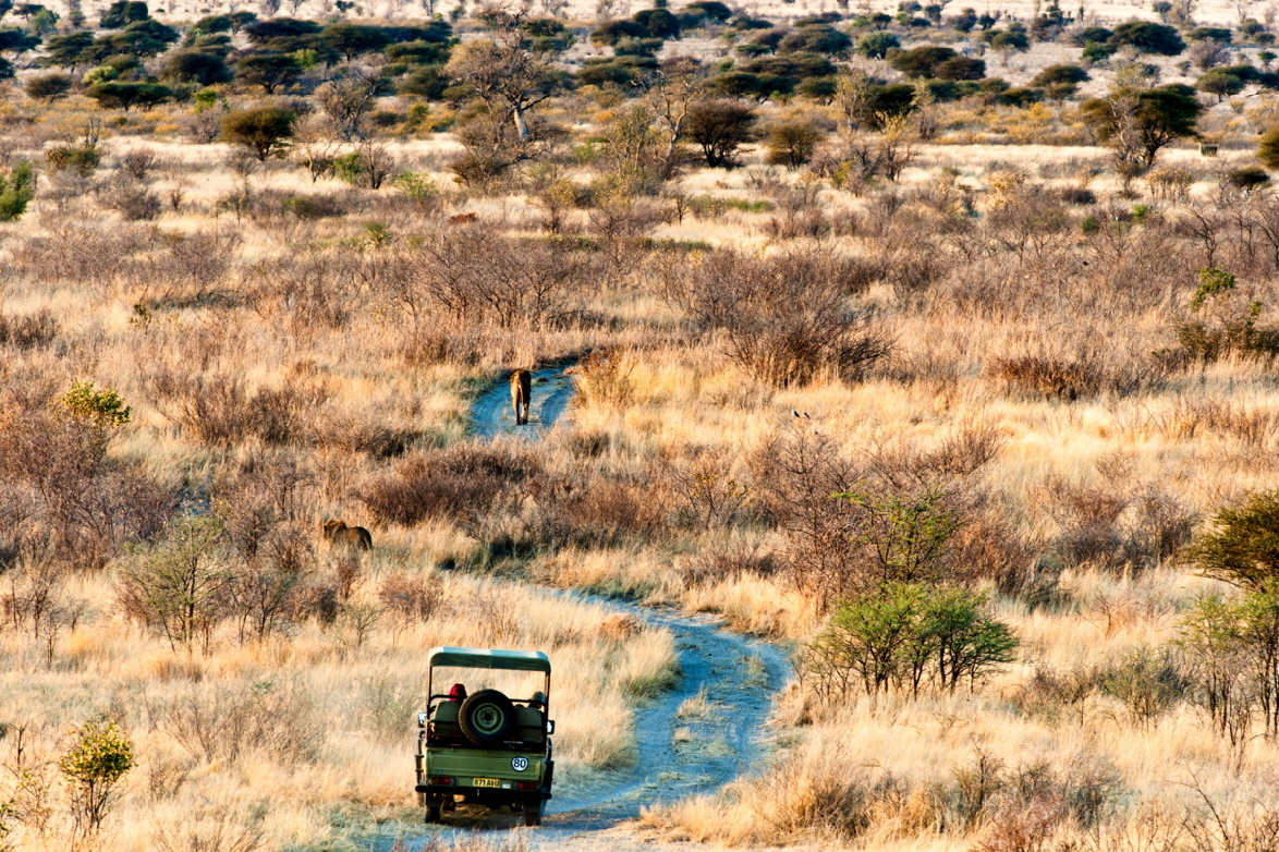 Tau Pan Camp Kalahari