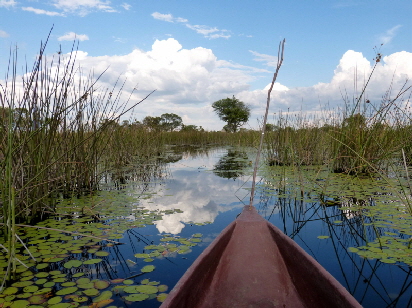 Mokorofahrt Okavango