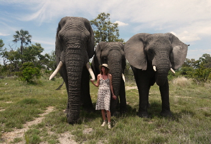 Okavango Elefantenwanderung Botswana