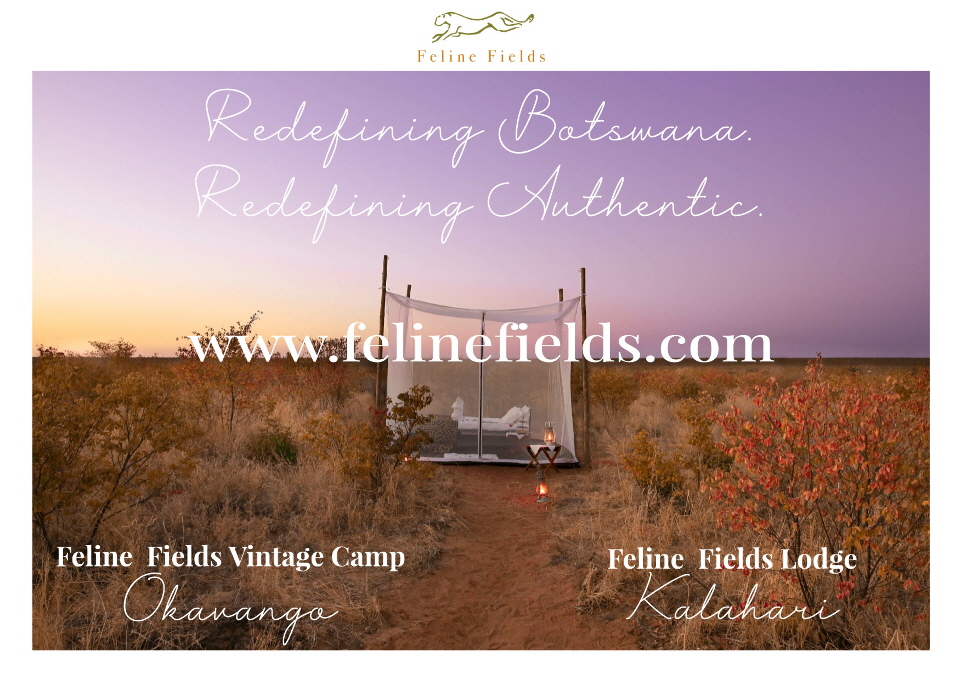 Feline Fields Lodge in der Kalahari-Sleep out im Fly camp