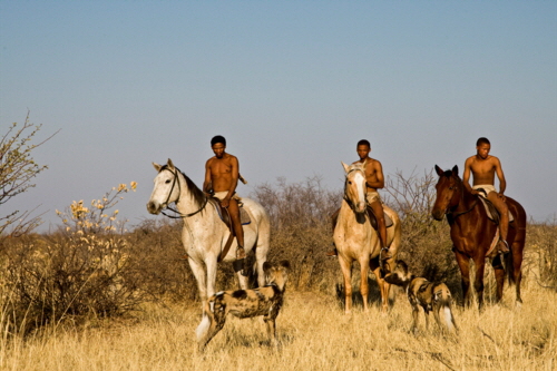 grassland bushmen lodge Botswana