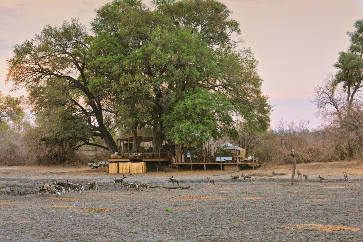 Kanga Camp Zimbabwe