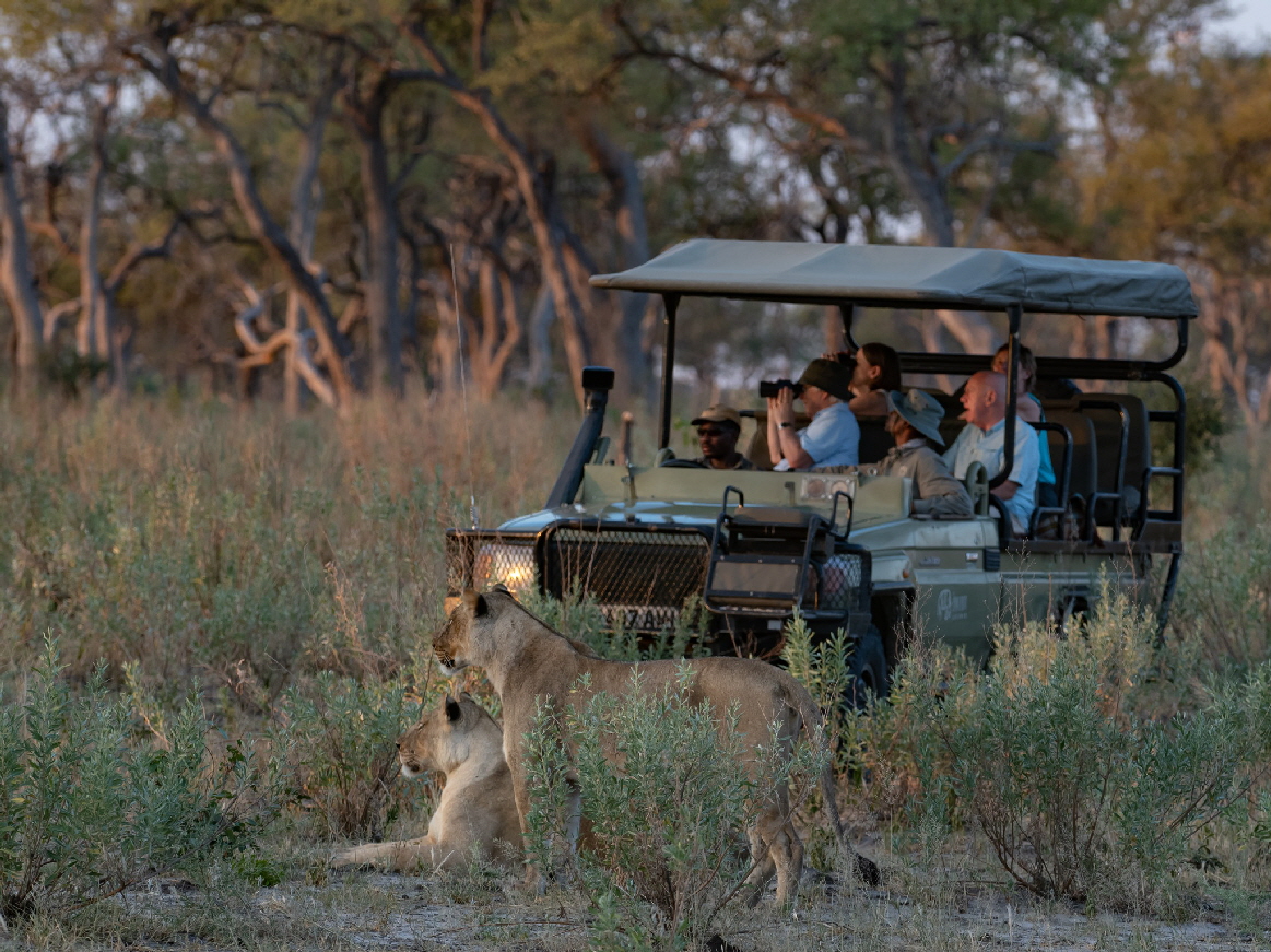 Lagoon Camp Kwando Safaris Botswana