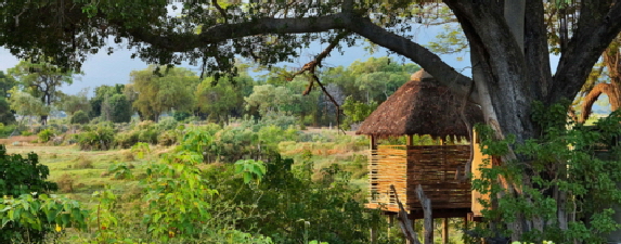 Little Mombo, Botswana