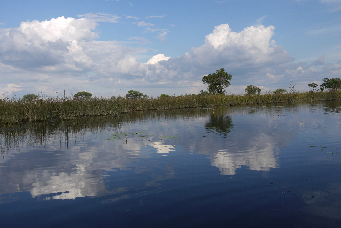 Okavango Safari im Mokoro